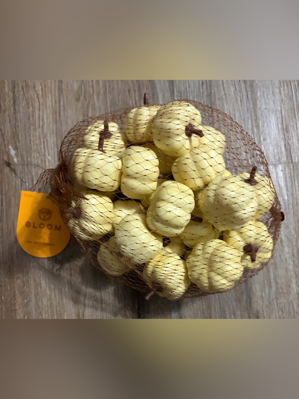Bloom - Decorative Mini Pumpkins - Pack of 25